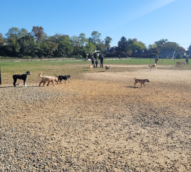 Orchard Park Dog Park (Manasquan,&nbspNJ)